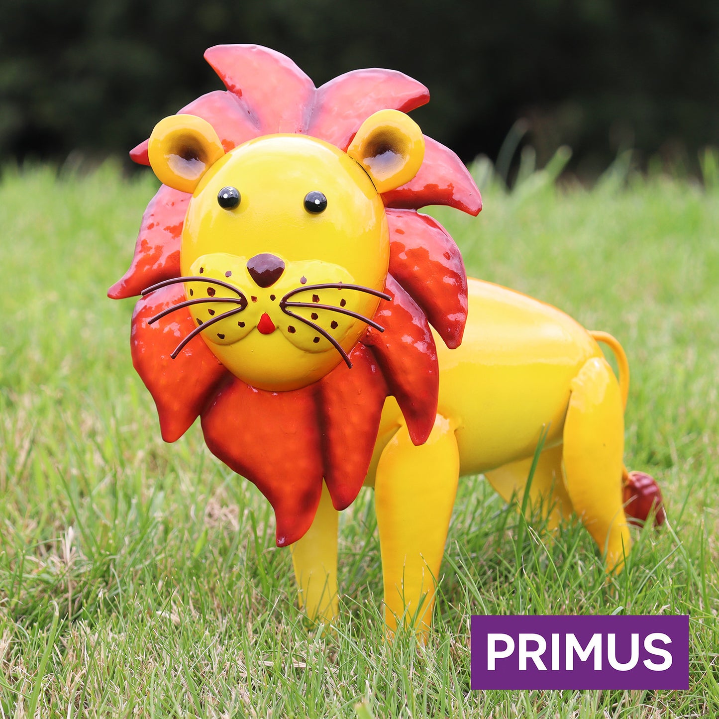 Primus Liam The lion Metal Zoo Animal
