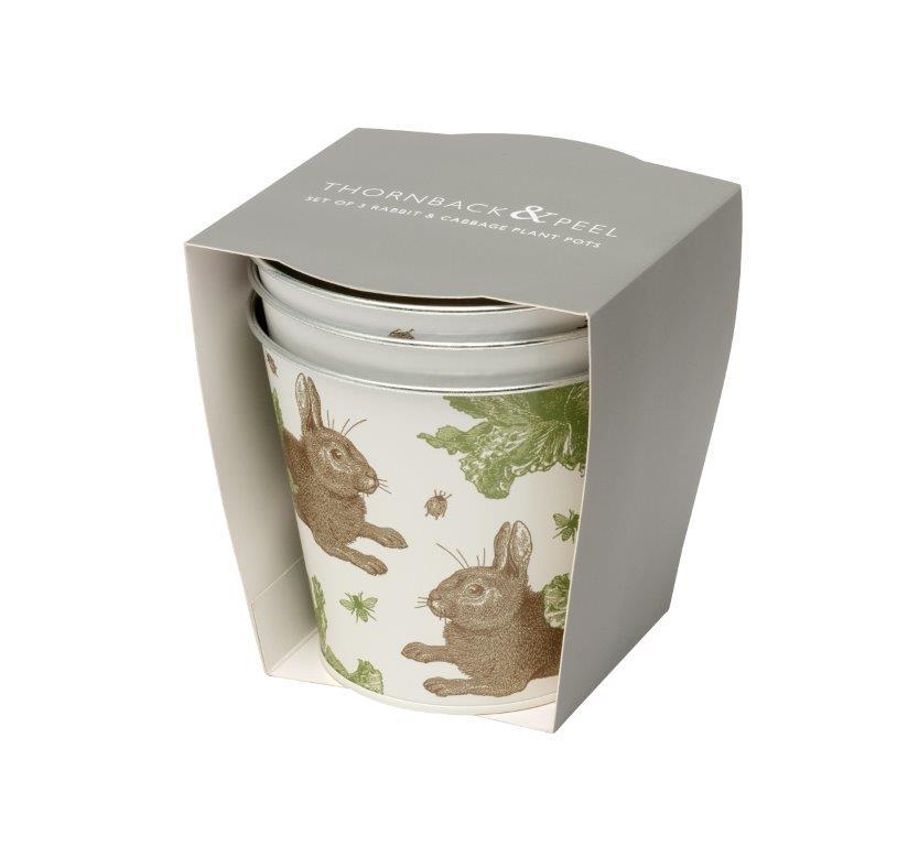 Thornback & Peel Set of 3 Plant Pots Rabbit & Cabbage