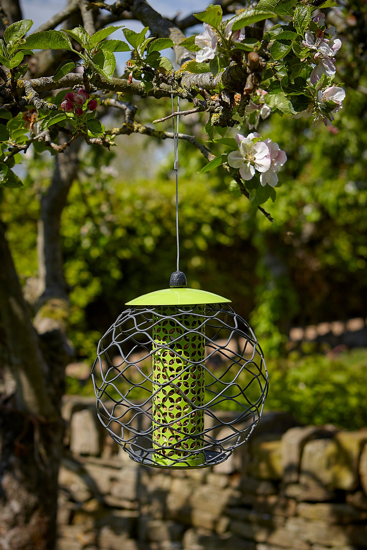 Tom Chambers Squirrel Resistant Sphere Peanut Feeder