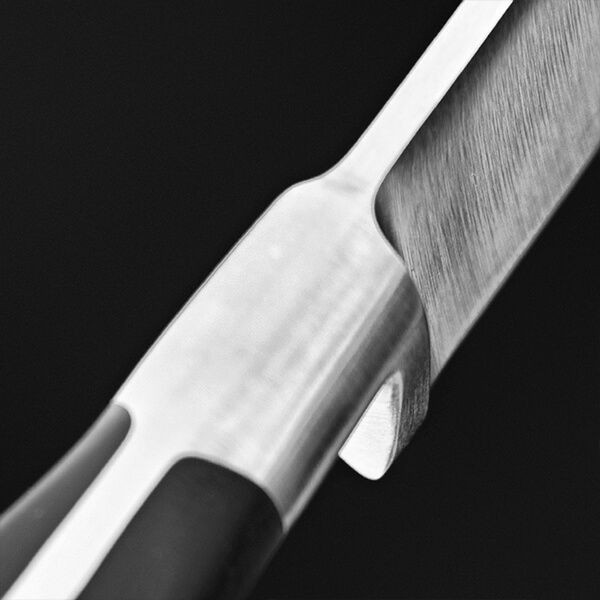 Stellar Sabatier IS 10" Carving Knife