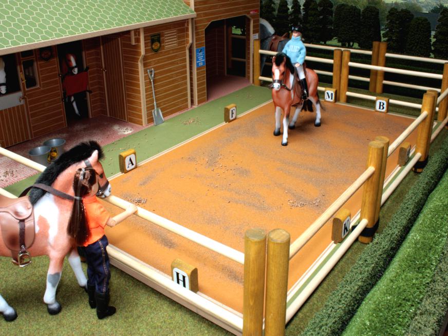 Brushwood Dressage & Equestrian Paddock BT1010