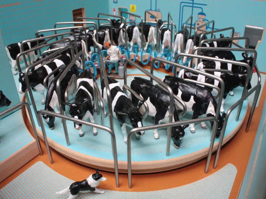 Brushwood Rotary Milking Palour BT2500