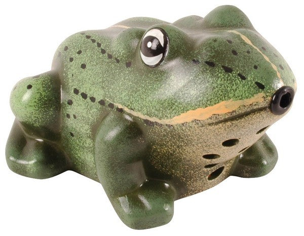 Fallen Fruits Croaking Frog