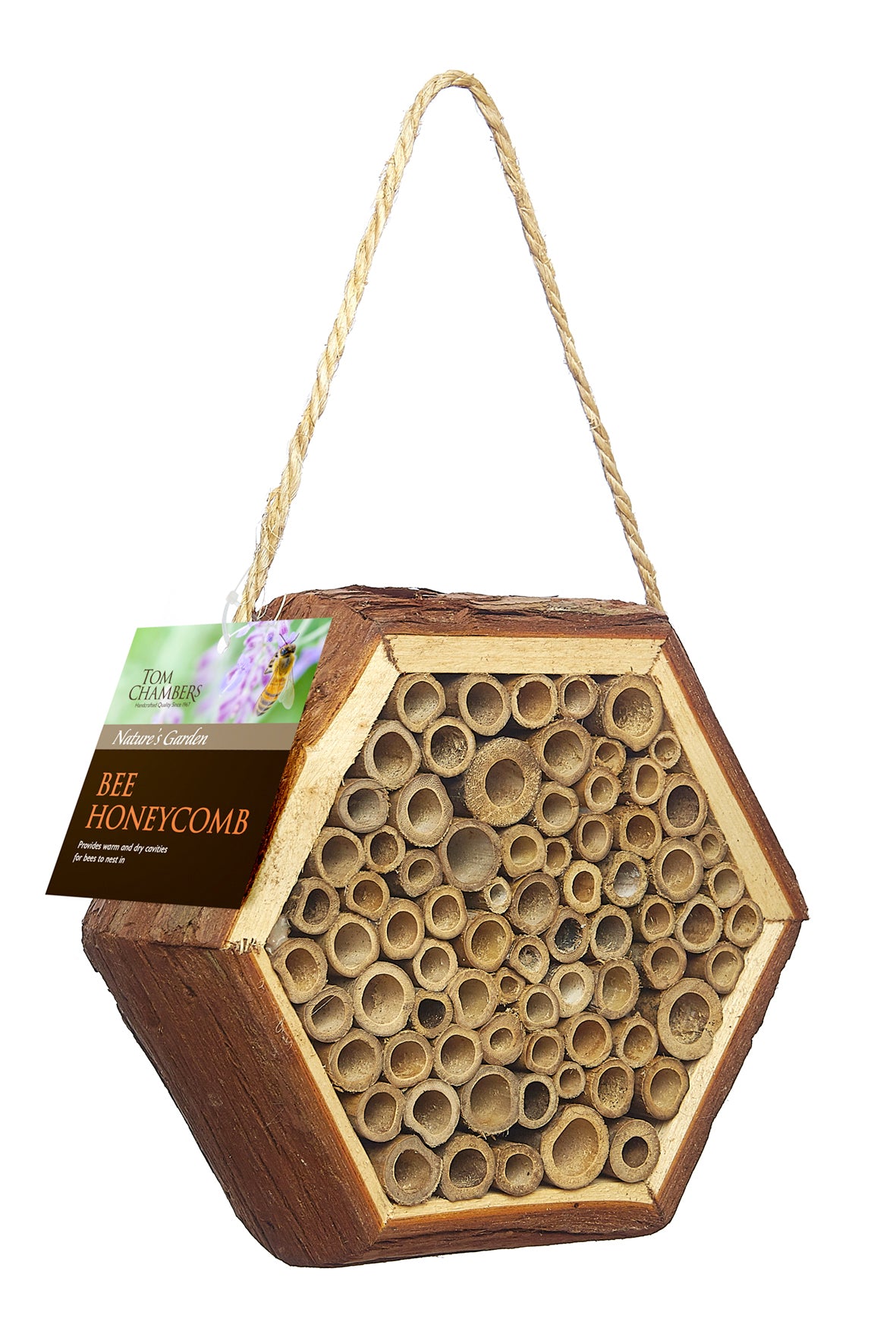 Tom Chambers Bee Honeycomb