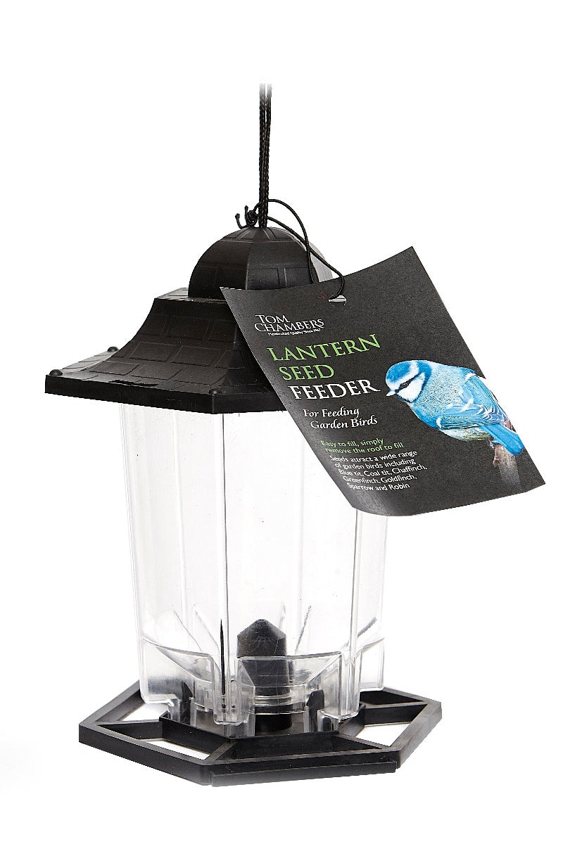 Tom Chambers Lantern Seed Feeder