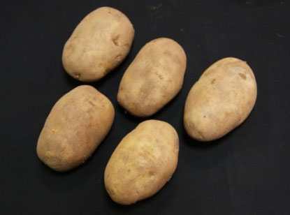 JBA Arran Pilot Potatoes 2KG
