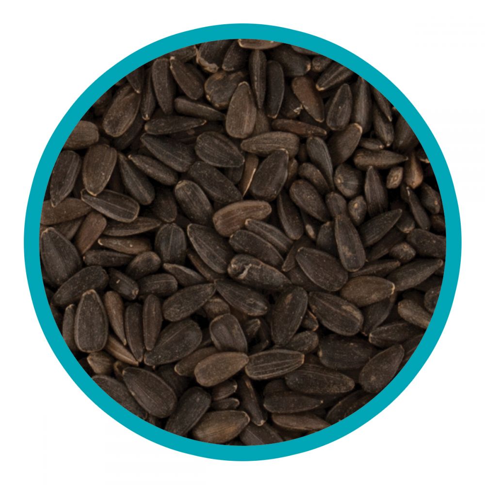 Walter Harrison's Black Sunflower Bird Seed Pouch 1.6kg