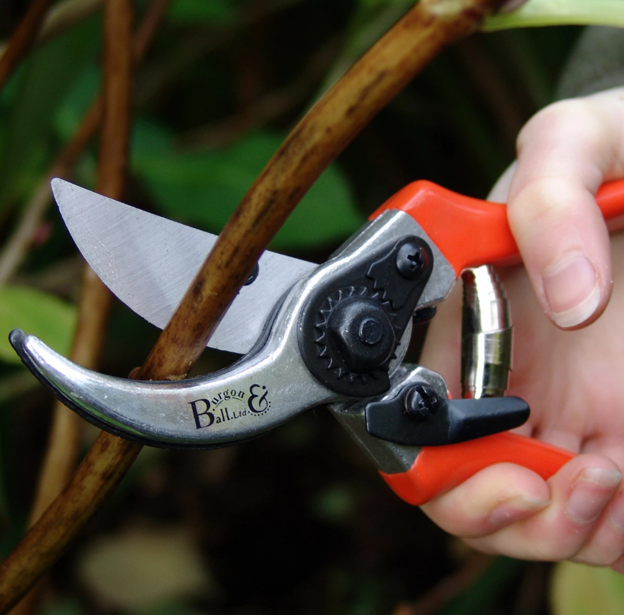 Burgon & Ball Bypass Secateurs - RHS Endorsed