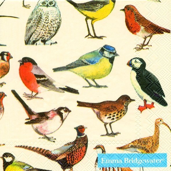 Emma Bridgewater British Birds Cocktail Napkins