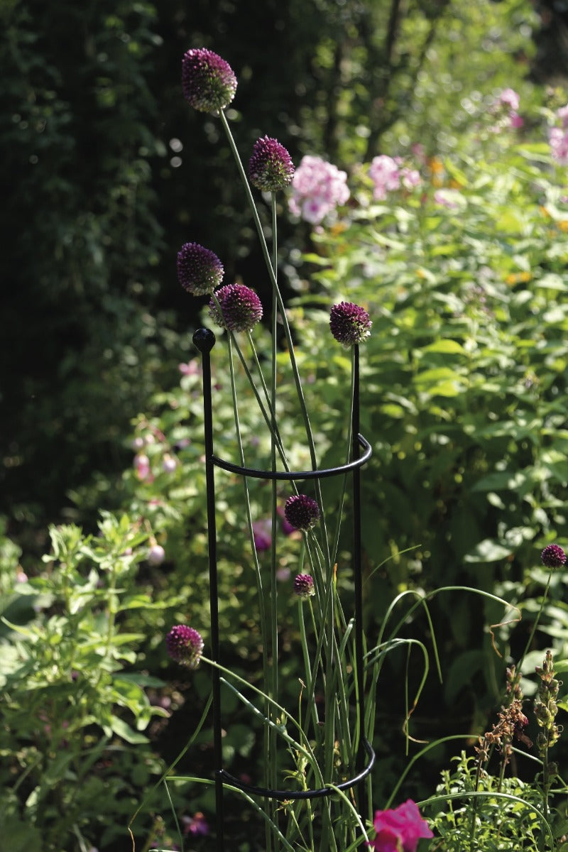 Tom Chambers Cottage Garden Column Large