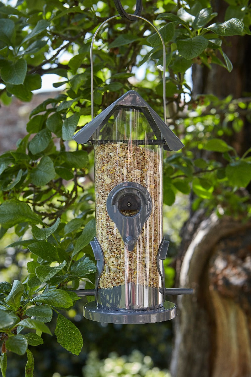 Tom Chambers Everyday 4Port Seed Feeder Tom Chambers Bird Feeders