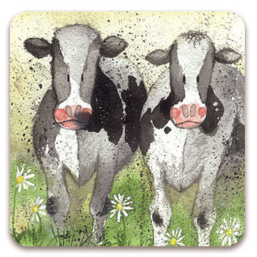 Alex Clark Curious Cows Coaster