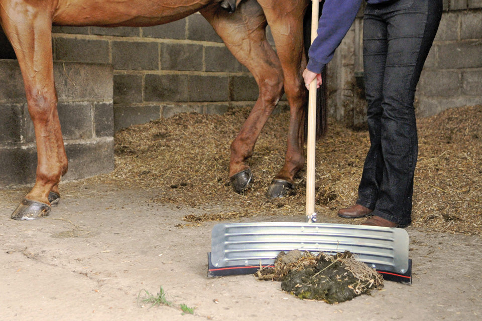 Dub'L-Lif Curved Squeegee / Yard Scraper