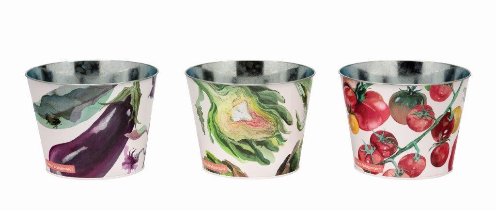 Emma Bridgewater Dig The Garden Set Of 3 Plant Pots