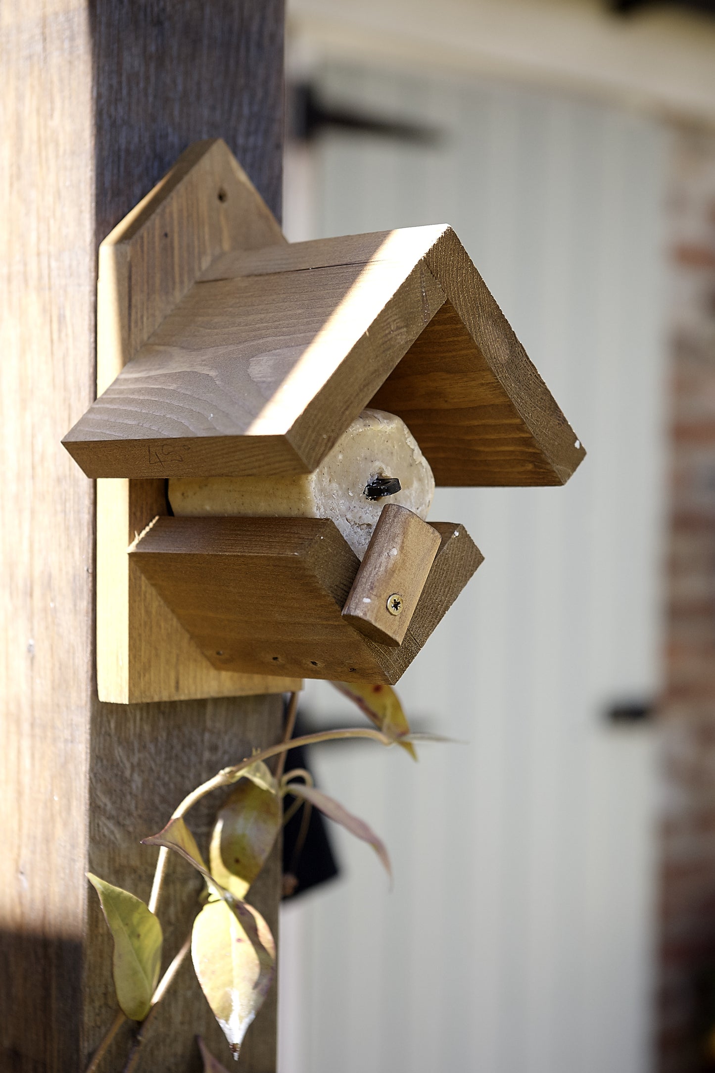 Tom Chambers Apperley Suet Feeder