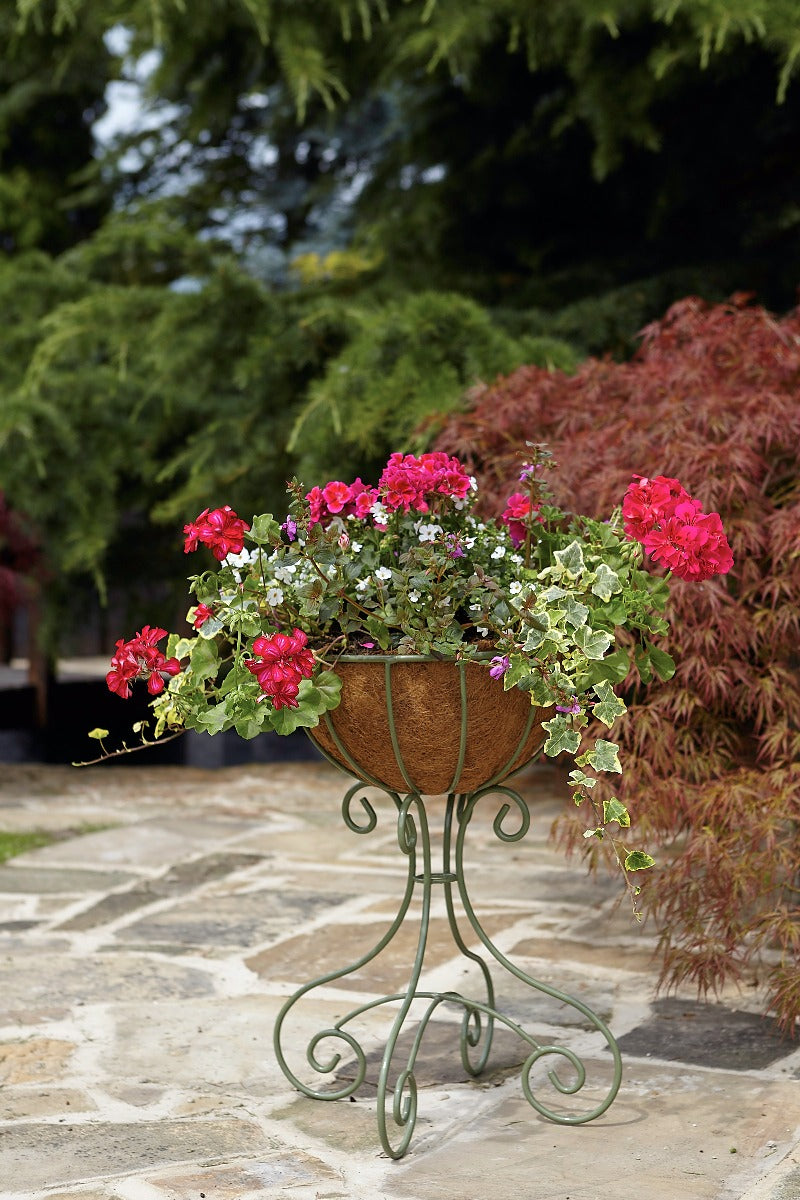 Tom Chambers Fiore Planter Small