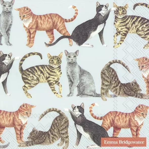 Emma Bridgewater Cats Cocktail Napkins