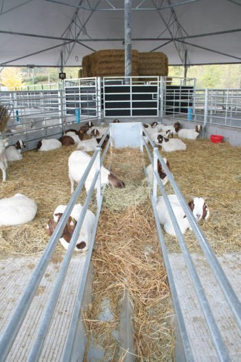 IAE Standard Walk Through Feeder