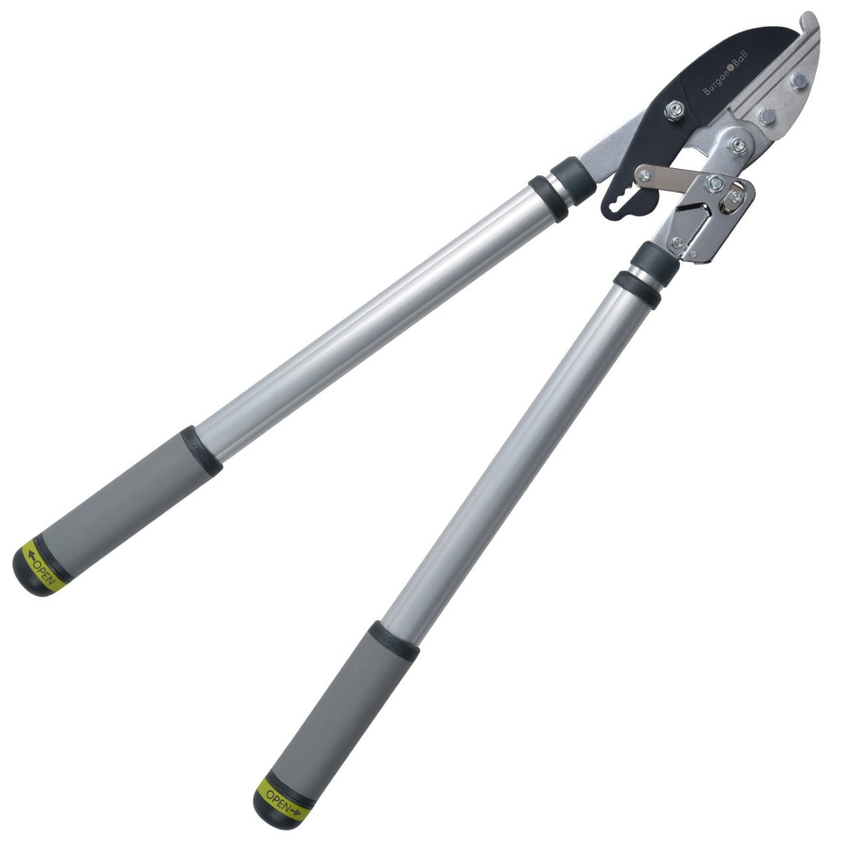 Burgon & Ball Telescopic Ratchet Lopper RHS Endorsed