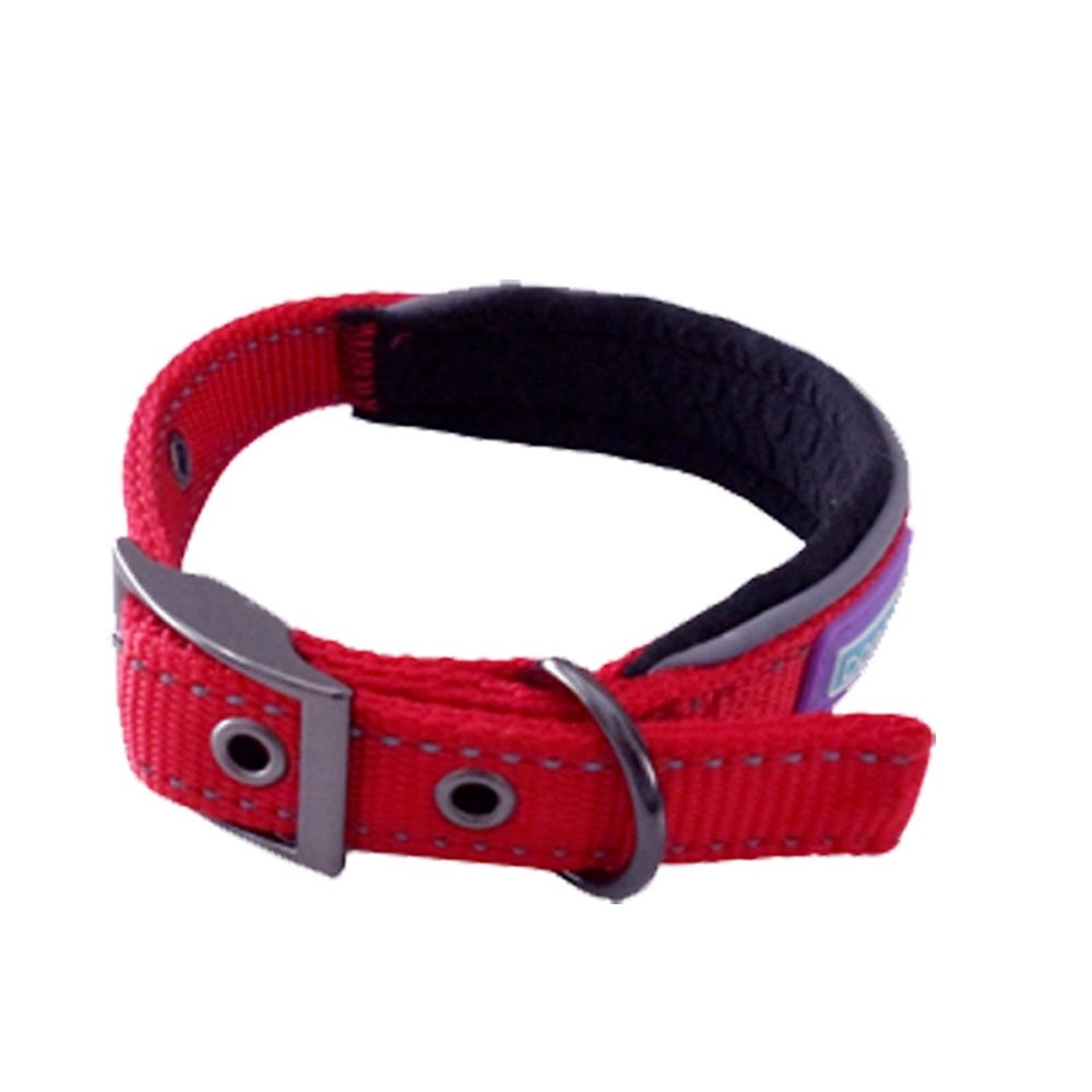 Hem & Boo Reflective Padded Dog Collar