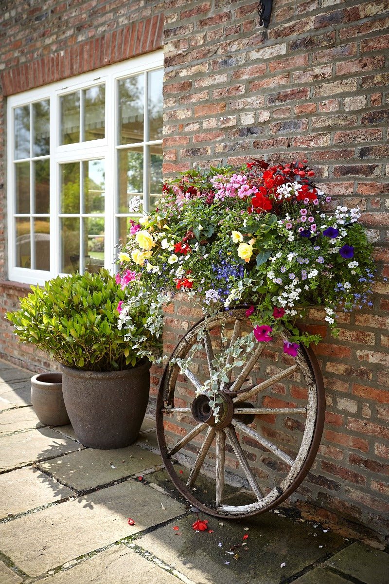 Tom Chambers Cottage Forge Window Box 90cm