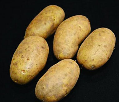 JBA International Kidney Potatoes 2KG