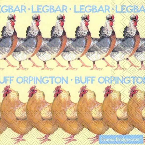 Emma Bridgewater Hens Cocktail Napkins