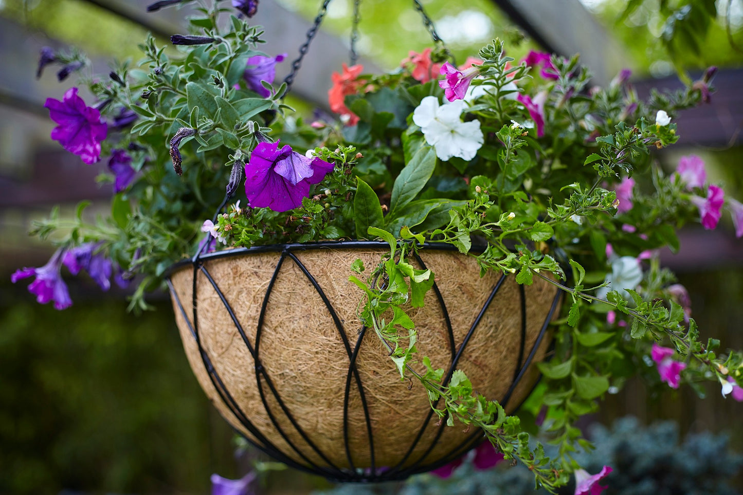 Tom Chambers Lattice Hanging Basket 35cm & Water Save Liner
