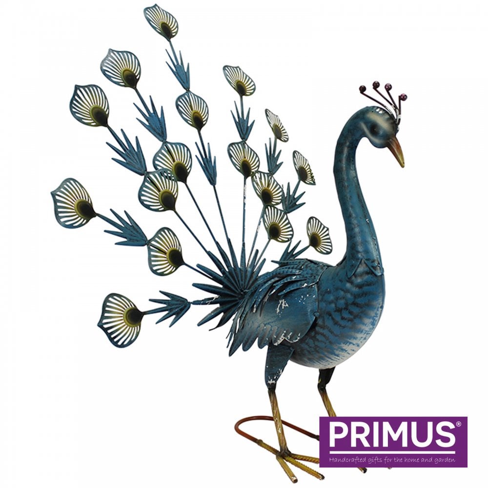 Primus Blue Metal Fantail Peacock