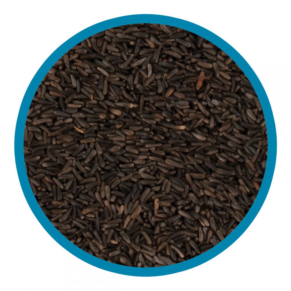 Walter Harrison's Nyger Seed Bird Feed Pouch 2kg