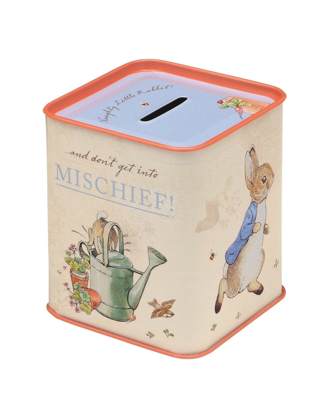 Beatrix Potter Peter Rabbit Money Box
