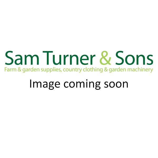 Armitage Good Boy Halloween Spider Dog Costume L