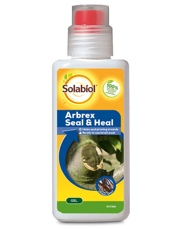 Solabiol Arbrex Seal & Heal 300g