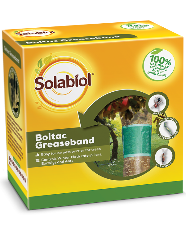 Solabiol Boltac Greaseband