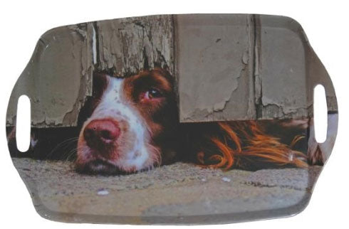 Country Matters Spaniel Tray