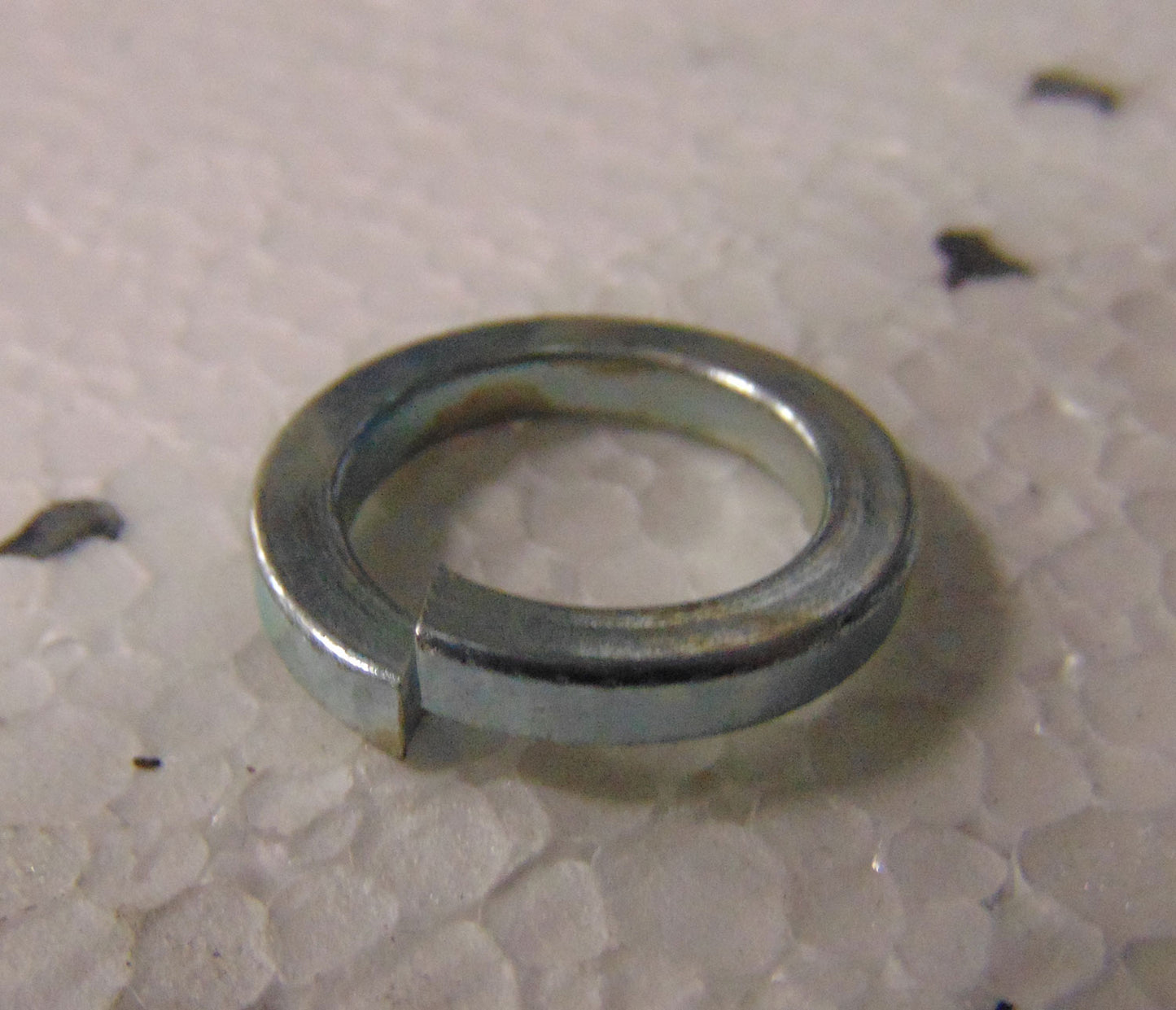 Washer Spring M12 - Each