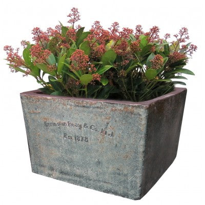 Errington Reay Square Planter Medium