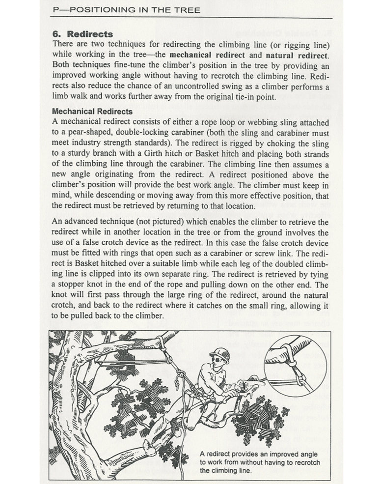 Jeff Jepson's Tree Climbers Companion Edition 2