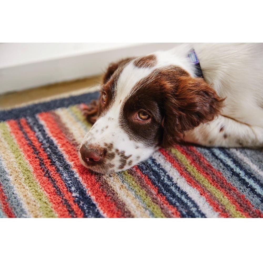 Hug Rug Door Mat | Stripe 32 Multi-Colour
