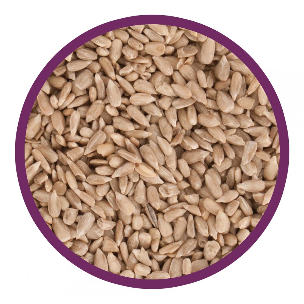 Walter Harrison's Sunflower Hearts Bird Feed Pouch 2kg