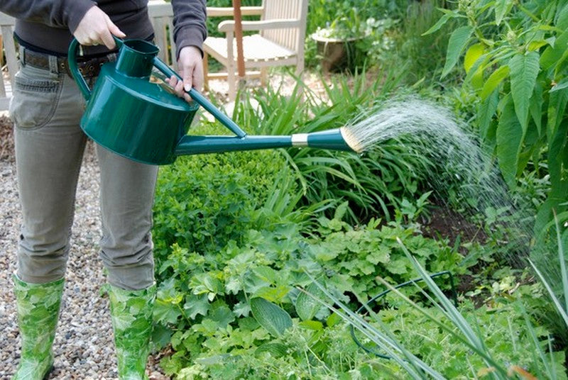 Fallen Fruits Watering Can Long Spout