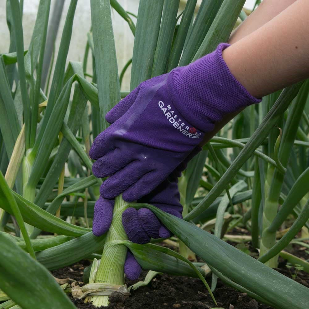Town & Country Master Gardener Gardening Gloves Aubergine
