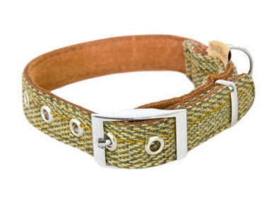 EarthBound Tweed Green Dog Collar XL
