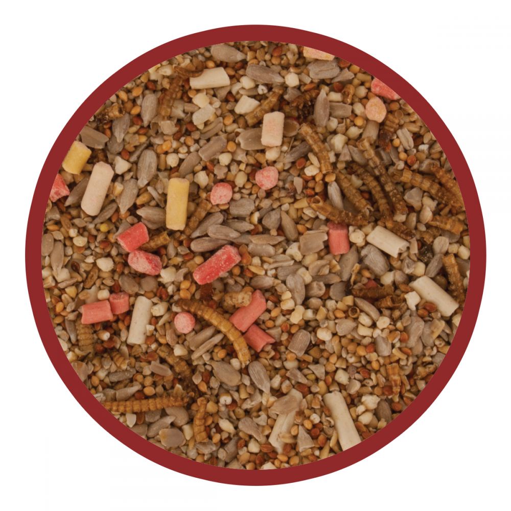 Walter Harrison's Ultimate Robin Mix Bird Feed Pouch 2kg