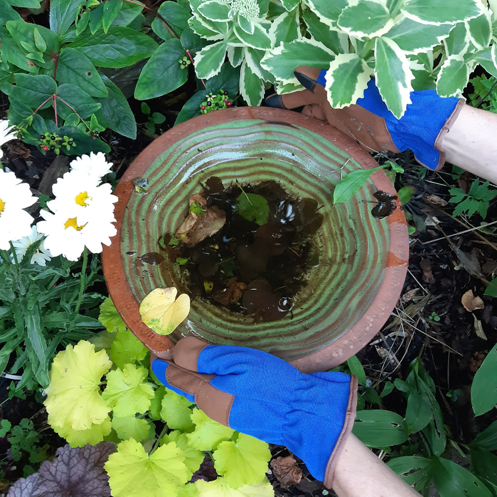 Town & Country Premium All-Purpose Gardening Gloves