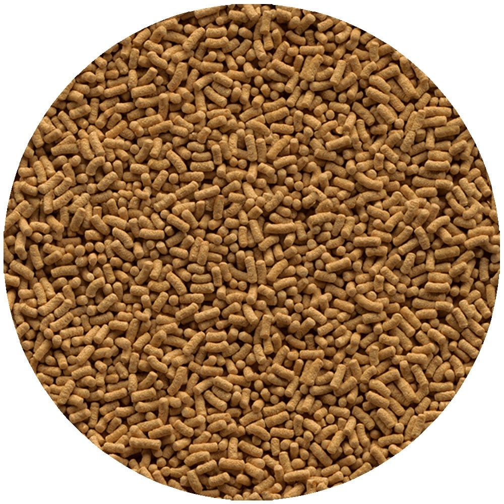 Tetra Pond Wheatgerm Sticks Bucket 7L