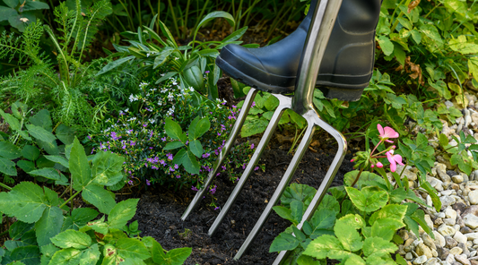 Transform Your Garden with the Right Digging and Planting Tools