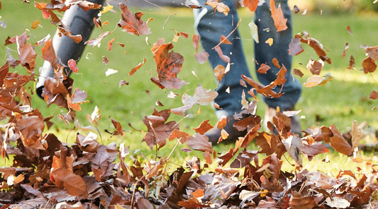 Essential Garden Machinery for Autumn - Preparing Your Garden for the Colder Months.