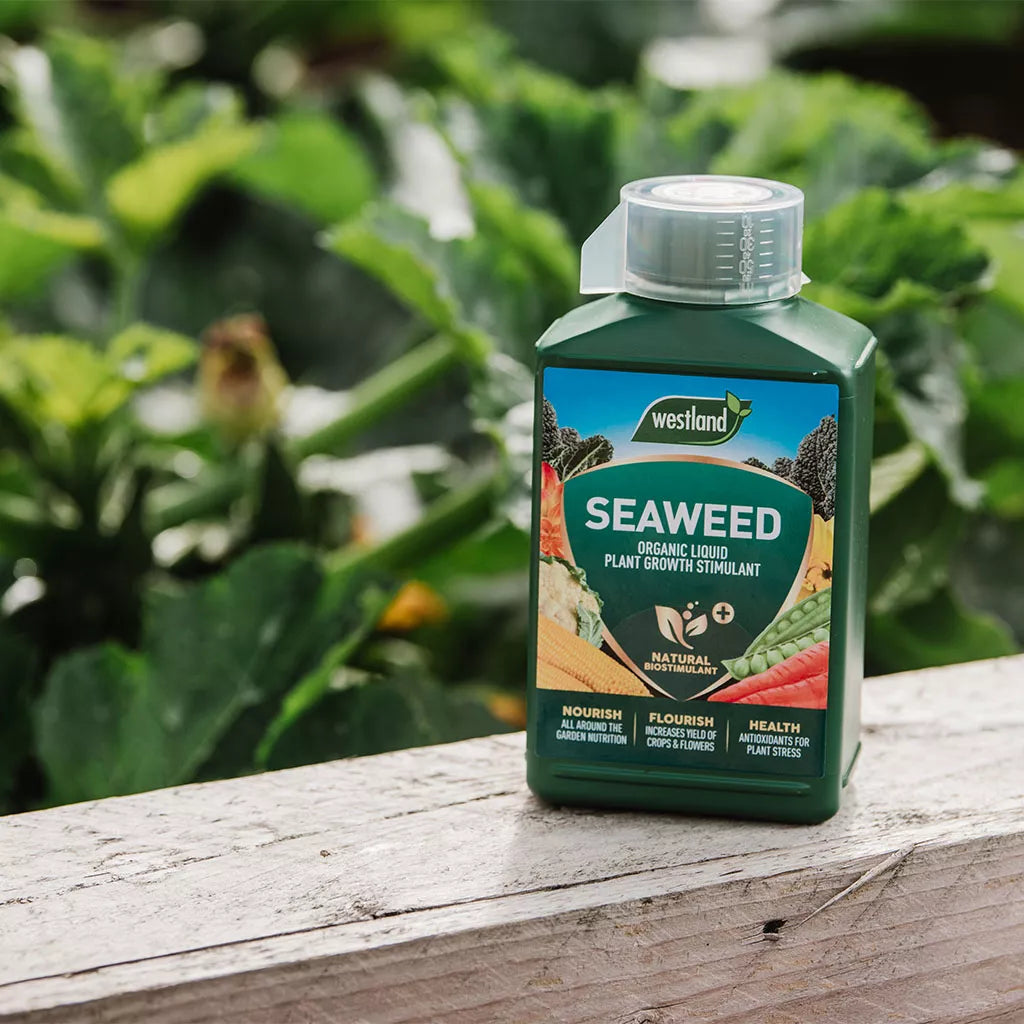 Westland Seaweed Specialist Liquid Feed 1LT