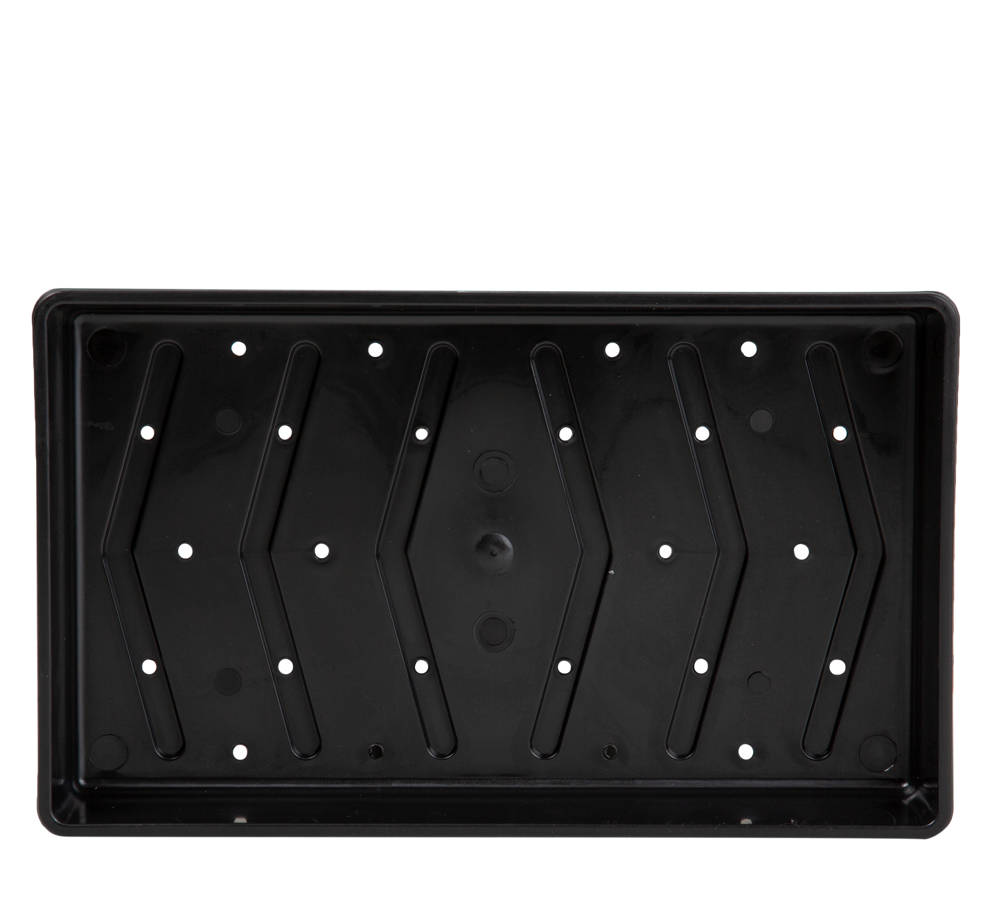 Traditional seed tray with drainage holes.